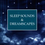 Sleep Sounds & Dreamscapes - Relaxing and Tranquil Music to For Deep Sleep, Lucid Dreaming, and Transcendental Meditation Sessio...