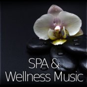 SPA & Wellness Music – Spirytual and Smooth Background Music with Nature Sounds for Beauty Therapy, Shiatsu and Aromatherapy, He...