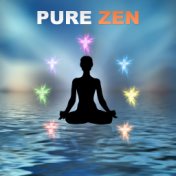 Pure Zen – Nature Music, Calming Sounds, Meditation, White Noise, Deep Sleep