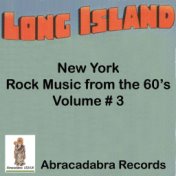 Long Island NY Rock Music of the 60's, Vol. 3