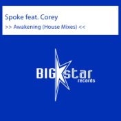 Awakening (House Mixes)
