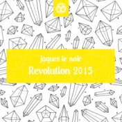 Revolution 2015