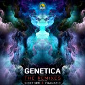 The Remixes