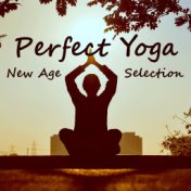 Perfect Yoga New Age Selection