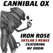 Iron Rose (Skylab 3 Remix)