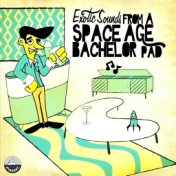 Exotic Sounds from a Space Age Bachelor Pad