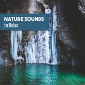 Nature Sounds to Relax – Music to Stress Relief, Inner Silence, Peaceful Waves, Healing Nature