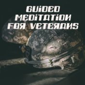 Guided Meditation for Veterans (Healing Frequencies for All Disease, Sleep Hypnosis for Soldiers with PTSD)