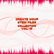 Create Your Stem Files Collection, Vol. 13 (Special Instrumental Versions And Tracks With Separate Sounds)