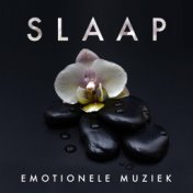 Slaap: Emotionele Muziek