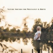 Nature Sounds for Pregnancy & Birth - Relaxation of Pregnant, Nature Sounds for Pregnant Woman, Soothing Melodies, Songs for New...