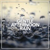 Gentle Afternoon Rain