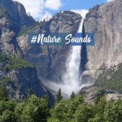 #Nature Sounds – Pure Relaxation, Soothing Sounds for Massage, Sleep, Deep Meditation, Yoga Training, Zen