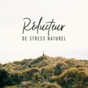 Réducteur de Stress Naturel: Musique qui Aide à Soulager le Stress et la Tension, Vous Détend Profondément et Vous Aide à Vous D...