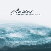 Ambient Nature Sounds 2019: 15 Relaxing Melodies for Sleep, Spa & Wellness, Relax, Massage, Yoga & Deep Meditation, Zen, Lounge