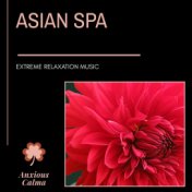 Asian Spa - Extreme Relaxation Music