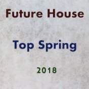 Future House Top Spring 2018