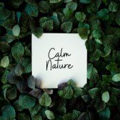 Calm Nature: Soothing Sounds for Relaxation, Reduce Stress, Nature Music, Zen, Lounge