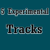 5 Experimental Tracks