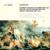 Bach: Cantatas - BWV 36c, 203, 209