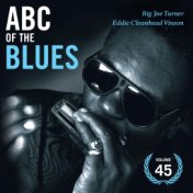 Abc of the Blues Vol. 45