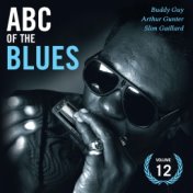 Abc of the Blues Vol. 12