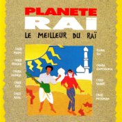 Planète raï: Le meilleur du raï