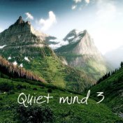 Quiet Mind, Vol. 3 (Music for Relaxation & Meditation, Yoga, Massage and Spa, World, Classical, Lounge)