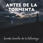 Antes de la Tormenta (Sonidos Vivientes de la Naturaleza (Tormenta, Aves, Viento, Olas, Fuego))