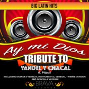 Ay mi Dios - Tribute to Yandel y Chacal ft. Pitbull - EP