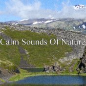 Calm Sounds Of Nature