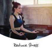 Reduce Stress – Calming Meditation Music, Yoga Practice, Deep Harmony, Healing Music for Relaxation, Yoga, Pure Meditation, Heal...