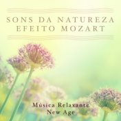 Musica Relaxante New Age - Sons da Natureza, Efeito Mozart