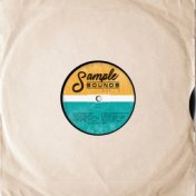 Sample Sounds, Vol. 1