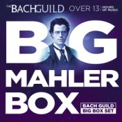 Big Mahler Box (A Big Bach Guild Set)