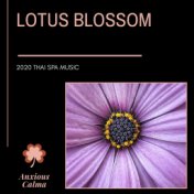 Lotus Blossom - 2020 Thai Spa Music