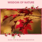 Wisdom Of Nature - Music For Beginners Meditation