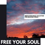 Free Your Soul: Meditation Music Collection for Reducing Stress