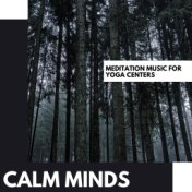 Calm Minds: Meditation Music for Yoga Centers