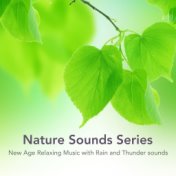 Nature Sounds Series - New Age Relaxing Music with Rain and Thunder sounds, Ocean Waves, Wind, Chimes, Tibetan Bells, Rivers, Fo...