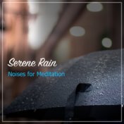 #20 Serene Rain Noises for Meditation