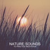 Nature Sounds to Practice Meditation – Yoga Music for Relaxation, Reiki, Zen Serenity, Healing Music, Spiritual Awakening, Sound...