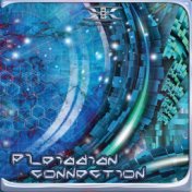 Pleiadian Connection