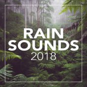 Rain Sounds 2018