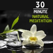 30 Minute Natural Meditation: Peaceful Music for Yoga, Meditation & Relaxation