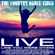 20 #1 Hit Songs - Live Like You Were Dying