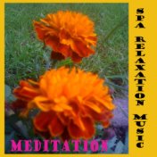 Spa relaxation meditation therapy healing yoga mantra