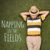Napping in the Fields