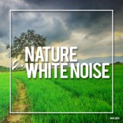 Nature & White Noise 2019