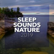 Sleep Sounds Of Nature 2019